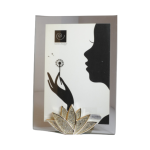 Cadre en verre (pied palmier)